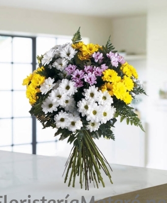 Enviar Flores a Mataró Ramo de margaritas