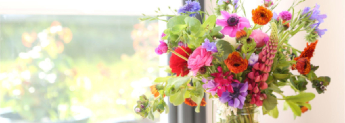 Floristeria Córdoba
